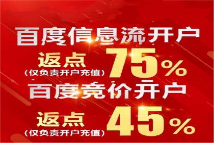 百度竞价排名服务在金融行业的推广策略